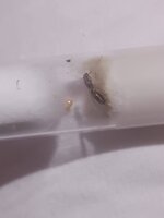 IMG_20240801_001116.jpg