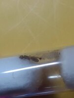 IMG_20240801_003534.jpg