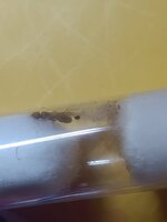 IMG_20240801_003528.jpg