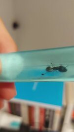 VideoCapture_20240802-210842.jpg