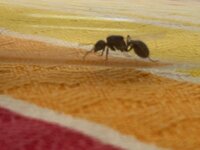 IMG_1758.jpeg
