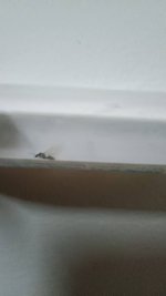 IMG_20240818_205304.jpg