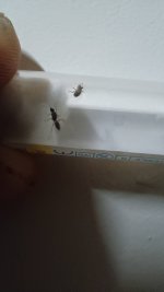 IMG_20240818_205255.jpg