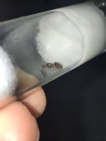 80F648DE-B4D8-4258-9A4B-626B102CFDAE.jpeg