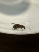IMG_0622.jpeg