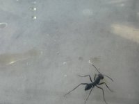 IMG_6597.jpeg
