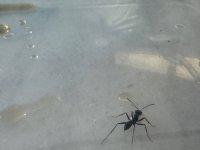 IMG_6596.jpeg