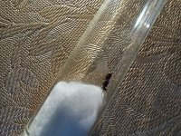 20240902_185351.jpg