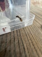 IMG_6726.jpeg