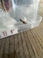 IMG_6728.jpeg