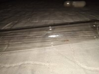 20241015_190235.jpg