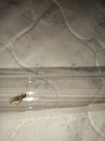 20241015_203808.jpg
