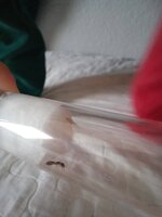 20241020_125908.jpg