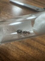 IMG_7706.jpeg