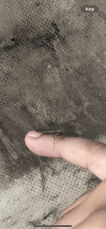 IMG_6417.png
