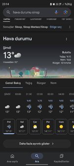 Screenshot_20241104_231453_Google.jpg