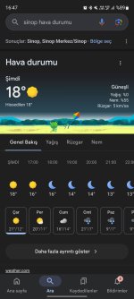 Screenshot_20241120_164740_Google.jpg
