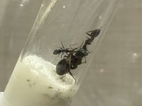 IMG_2519.jpeg