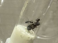 IMG_2520.jpeg