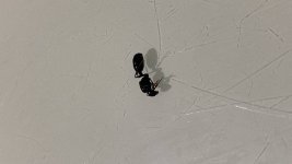 6D5D696E-0CEC-40C8-8618-E5D193A1F370.jpeg