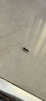 IMG_5986.jpeg