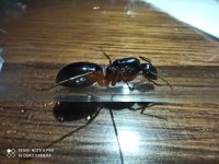 IMG_20250418_212325.jpg