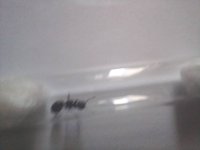 20250420_151646.jpg