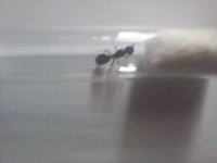 20250420_151830.jpg