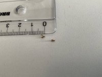 IMG_1007.jpeg