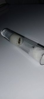 ce110135-aff8-4ef9-85e2-b969b47eb476.jpg