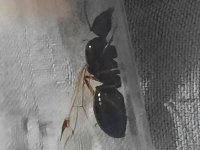 20250705_012024.jpg