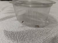 IMG_20250707_211017.jpg