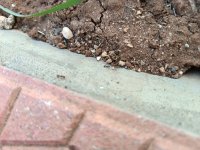 IMG_20250927_102905.jpg