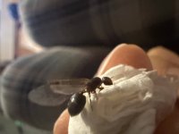 IMG_6679.jpeg