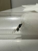 IMG_1530.jpeg