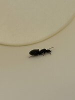 IMG_6797.jpeg