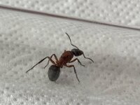 IMG_2469.jpeg