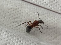 IMG_2467.jpeg