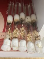 IMG_0581.jpeg