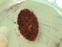 20260813_165927.jpg