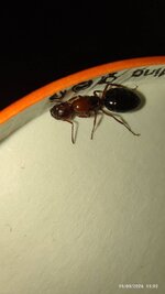 IMG_20260919_150257.jpg