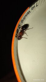 IMG_20260919_150250.jpg