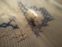 IMG_20200801_000413.jpg