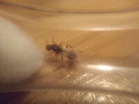 IMG_20200801_010045.jpg