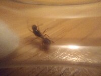 IMG_20200801_010041.jpg