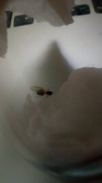 IMG_20200805_135843.jpg