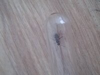 IMG_20200807_170306.jpg