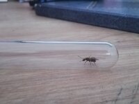 IMG_20200807_170238.jpg