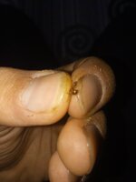 IMG_20200820_213704.jpg