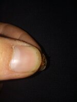 IMG_20200820_213650.jpg